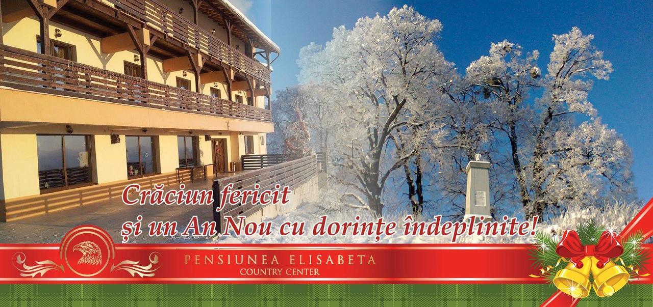 Pensiunea Elisabeta Merghindeal Екстер'єр фото