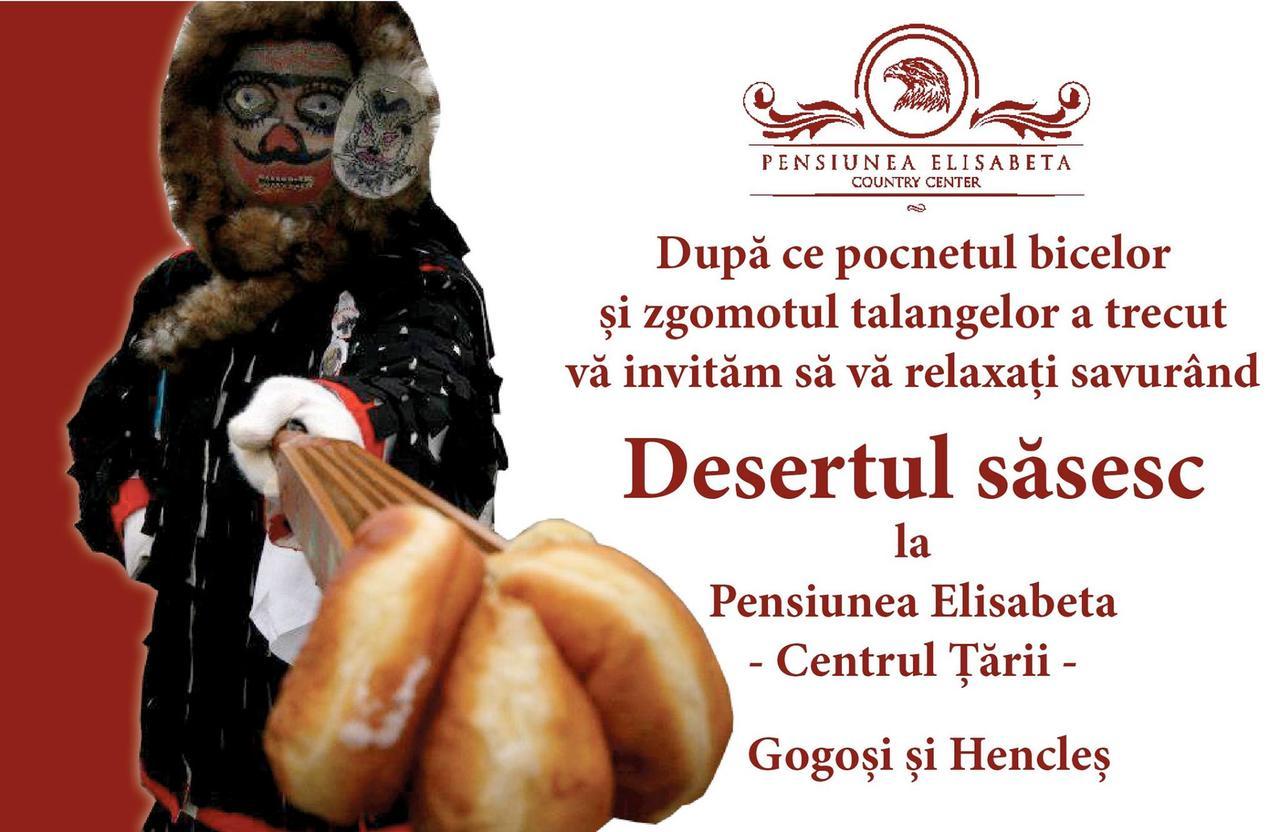 Pensiunea Elisabeta Merghindeal Екстер'єр фото