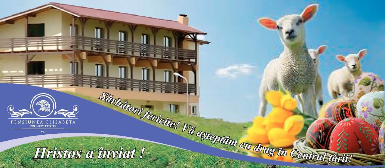 Pensiunea Elisabeta Merghindeal Екстер'єр фото